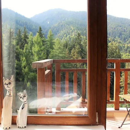 Pm Services Semiramida *