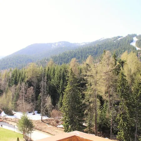 Pm Services Semiramida