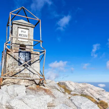 Pm Services Semiramida