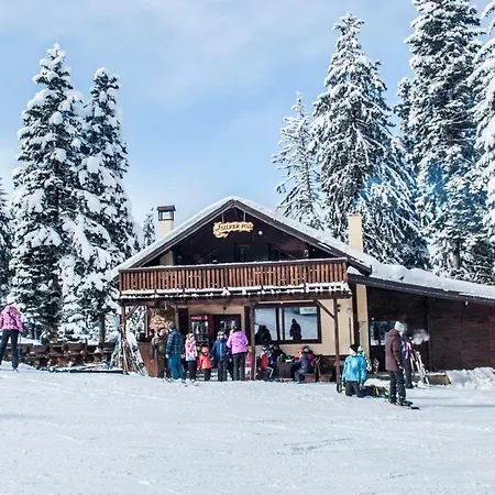 Pm Services Semiramida *