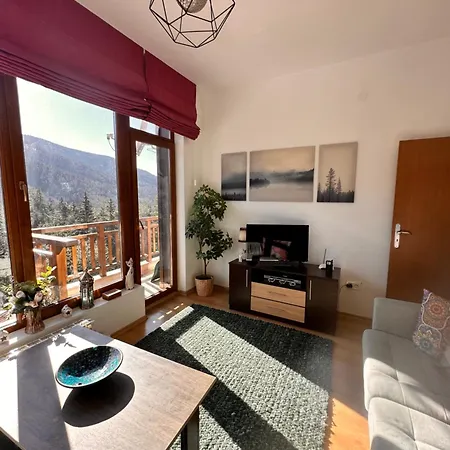 Apartament Pm Services Semiramida Boroveț