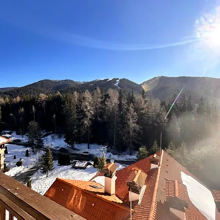 Pm Services Semiramida Boroveț