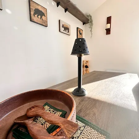 Apartament Pm Services Semiramida Boroveț