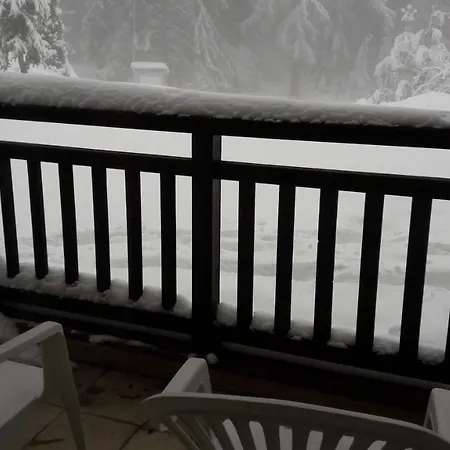 Pm Services Semiramida Boroveț