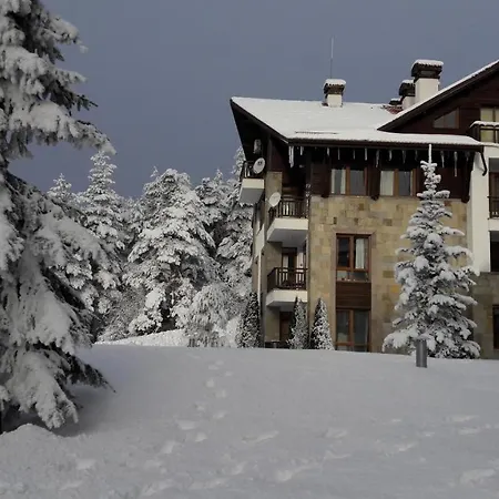 Pm Services Semiramida Boroveț