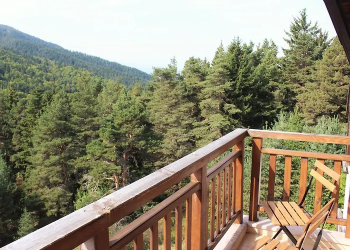 Pm Services Semiramida *