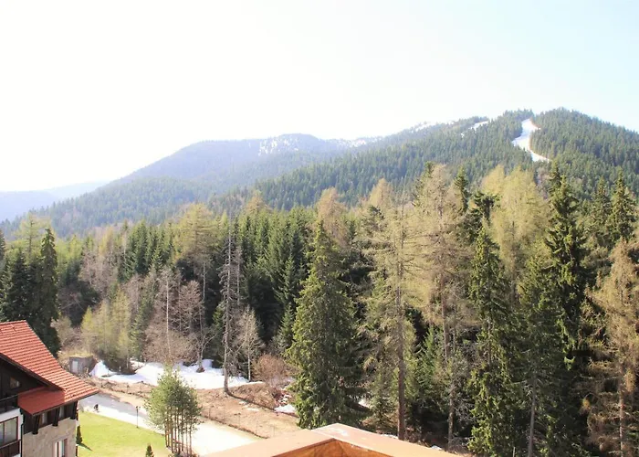 Pm Services Semiramida