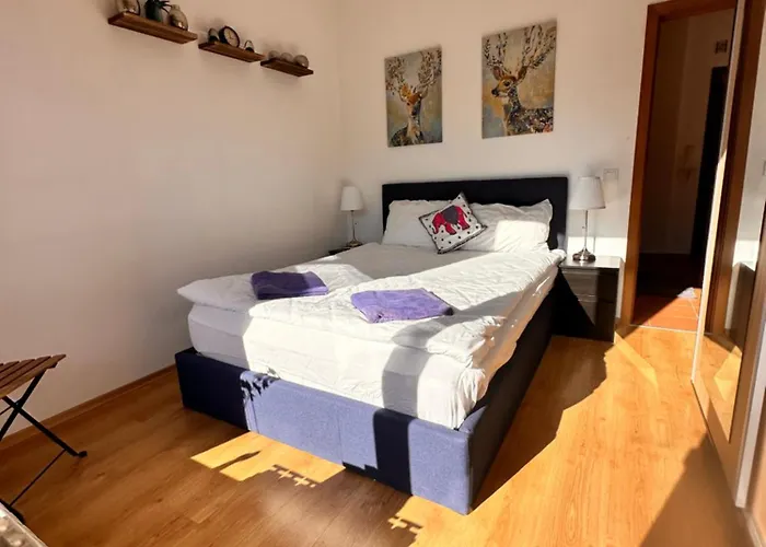 Pm Services Semiramida Borovets