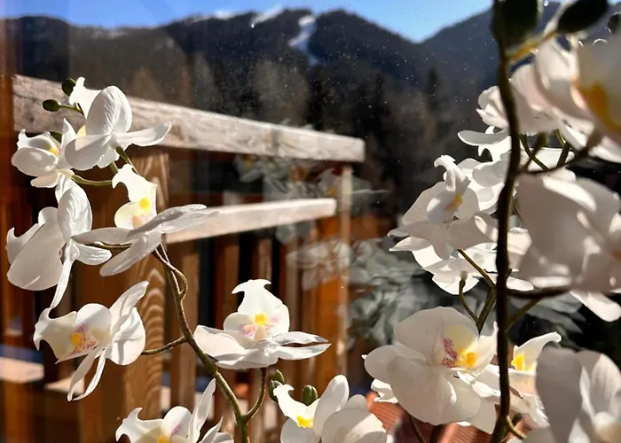 Pm Services Semiramida * Borovets